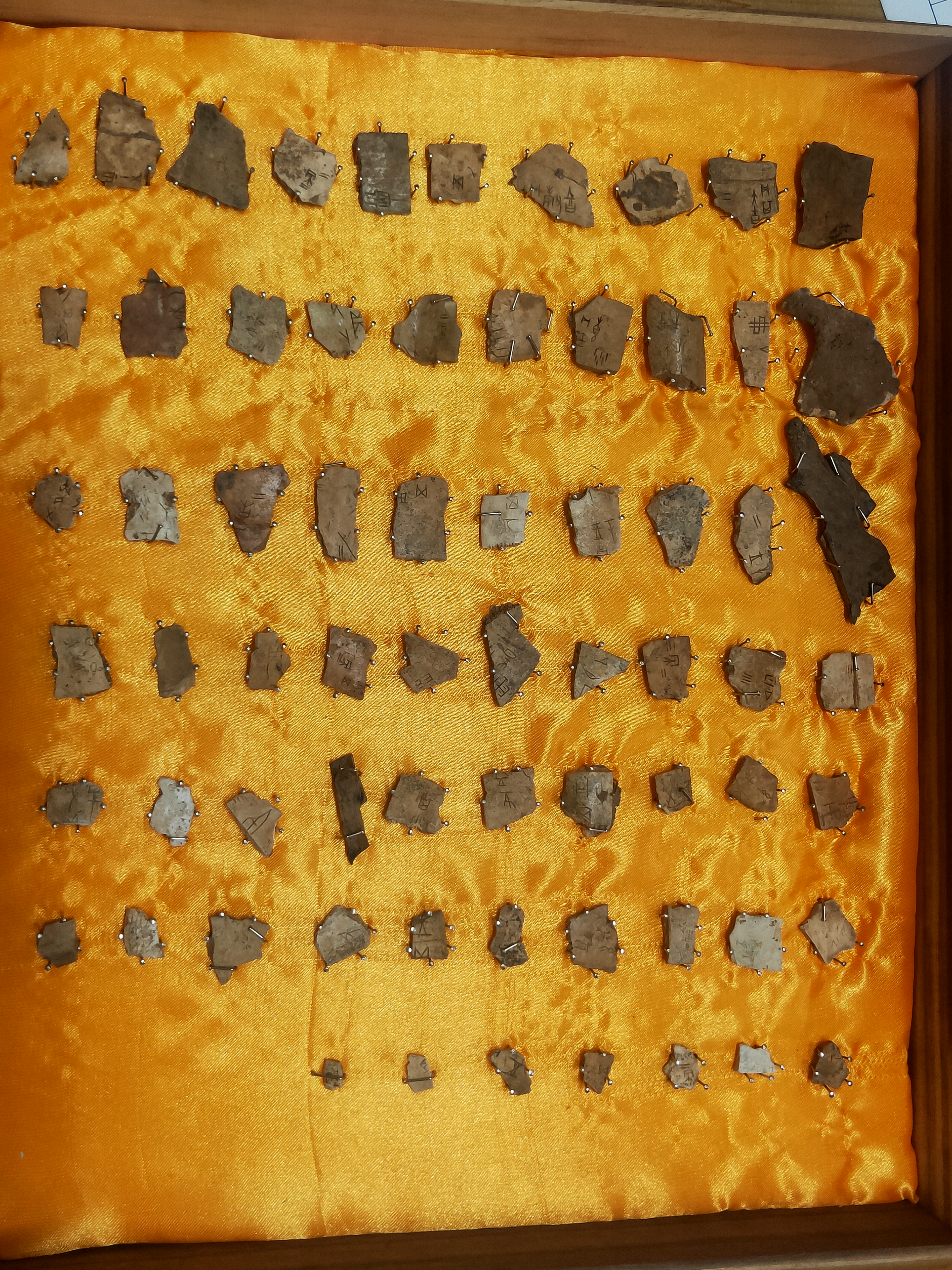 ص׹0240514162301.jpg