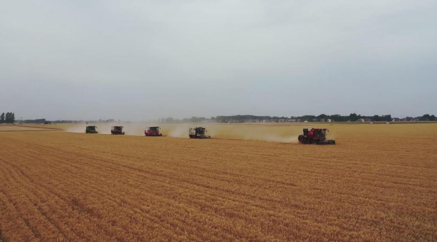 周口：以农高区建设为牵引加快建设农业强市